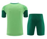 24-25 Palmeiras High Quality Training Short Suit