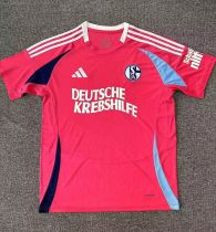 24-25 Schalke Special Edition Fans Soccer Jersey