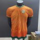 24-25 Cote d'Ivoire Special Edition Fans Version Soccer Jersey
