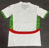 24-25 Morocco Away Fans Soccer Jersey