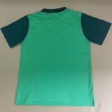 24-25 Palmeiras Green Polo Short Sleeve