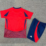 24-25 Costa Rica Home Kids Soccer Jersey