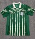 25-26 Palmeiras Special Edition Fans Soccer Jersey