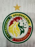 24-25 Senegal Home Player Version Soccer Jersey