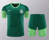 24-25 Palmeiras High Quality Training Short Suit