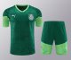 24-25 Palmeiras High Quality Training Short Suit