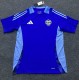 24-25 Como Blue Training Shirts