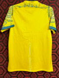 24-25 Australia Yellow Concept Edition Fans Soccer Jersey