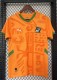 24-25 Côte d'ivoire Home Fans Soccer Jersey
