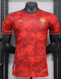 24-25 Portugal Special Edition Player Version Soccer Jersey