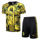 24-25 Brazil High Quality Training Short Suit