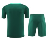 24-25 Portugal High Quality Training Short Suit