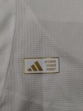24-25 Aston Villa Away Player Soccer Jersey