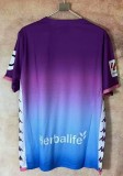 24-25 Real Valladolid Special Edition Fans Soccer Jersey