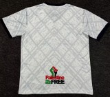 24-25 Palestine Fans Version Soccer Jersey