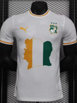 24-25 Cote d 'Ivoire Special Edition Player Version Soccer Jersey