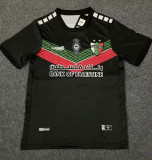 2023 Palestine Fans Version Soccer Jersey