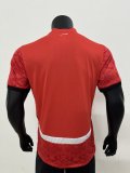 25-26 Egypt Home Players Soccer Jersey