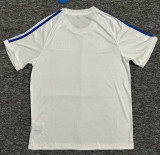 23-24 Italy Special Edition Fans Soccer Jersey