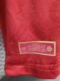 24-25 Bayern 125th Anniversary Player Version Soccer Jersey