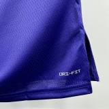 24-25 Lakers Top Quality Hot Pressing NBA Jersey