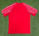 24-25 PSG Red Fans Training shirts