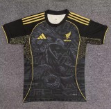 25-26 Mexico Special Edition Fans Soccer Jersey