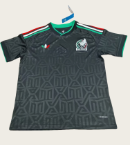 25-26 Mexico Special Edition Fans Soccer Jersey