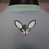 25-26 Algeria Light green Player Version Training shirts (白标)