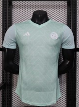 25-26 Algeria Light green Player Version Training shirts (白标)