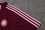 25-26 Bayern High Quality Training Short Suit