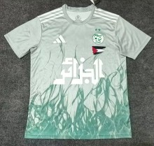 25-26 Algeria Grey Green Special Edition Fans Soccer Jersey