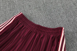 25-26 Bayern High Quality Training Short Suit