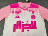 25-26 Algeria Pink Green Special Edition Fans Soccer Jersey