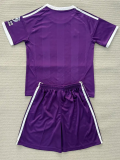 25-26 Aston Villa Purple Goalkeeper Adult Suit 1:1 Thai Quality