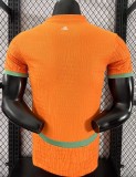 25-26 Cote d'Ivoire Home Player Version Soccer Jersey