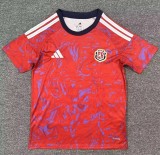 25-26 Costa Rica Home Fans Soccer Jersey