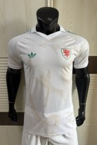 2026 Wales Away Player Version Soccer Jersey