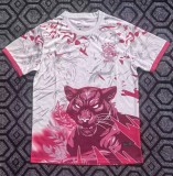 25-26 Brazil Pink Special Edition Training shirts