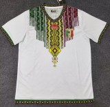 25-26 Mali Away Fans Soccer Jersey