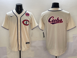 2025 MLB Chicago Cubs New Pattern Jersey