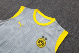 25-26 Dortmund High Quality Tank Top And Shorts Suit