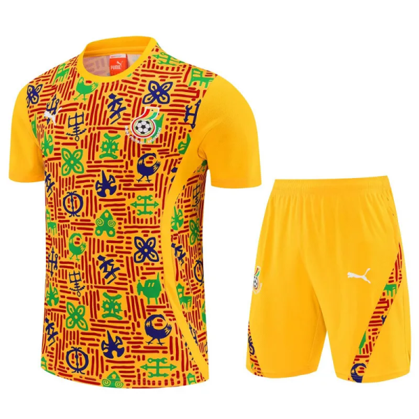 25-26 Ghana High Quality Training Short Suit