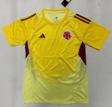 25-26 Colombia Yellow GoalKeeper Fans Soccer Jersey