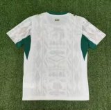 2026 Senegal Home Fans Soccer Jersey