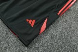 26-27 Bayern High Quality Training Short Suit