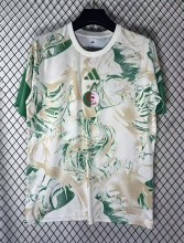26-27 Algeria Special Edition Fans Soccer Jersey