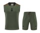 26-27  Bayern High quality Tank Top And Shorts Suit