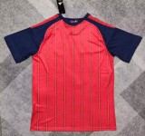 2026 World Cup Spain Home Fans Soccer Jersey (With 2 Star)*两颗星