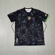 24/25 Brazil Special Edition Jersey